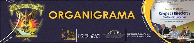 organigrama